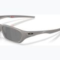 Sunglasses Oakley Terraforma titanium 6