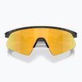 Children's sunglasses Oakley Resistor Sweep matte black splatter/prizm 24k 5
