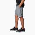 Columbia Washed Out men's trekking shorts grey 1491953021 3