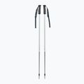 One Way GT 16 ghost ski poles