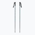 Ski poles Fischer RC4 Noize grey / blue