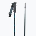 Ski poles Fischer RC4 Noize grey / blue 3