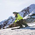 Komperdell Champion Green Henrik ski poles black/green 9