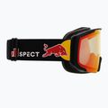 Ski goggles Red Bull SPECT Jibb Photo matt black/brown with red chrom x 7