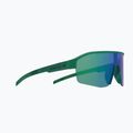 Sunglasses Red Bull SPECT Dundee matt turquoise pattern/smoke green-purple mirror