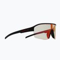 Sunglasses Red Bull SPECT Dundee Pro black/photochromic red mirror