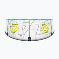 Kitesurfing kite Duotone Evo D/LAB grey/lime 6