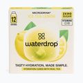 Waterdrop rehydration drink Microdrink Ice Tea 12 cubes lemon
