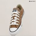 Converse Chuck Taylor All Star Classic Ox hot tea trainers 9