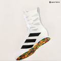 adidas Box Hog 4 cloud white/core black/cloud white boxing shoes 10