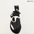 Climbing shoe Evolv Zenist grey/black 6