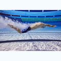 Men's swimming jammers Funky Trunks Training chaz michael 6