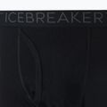 Men's thermal pants icebreaker 200 Oasis W/Fly black IB1043700011 9