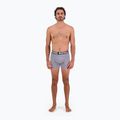 Men's thermal boxer shorts Mons Royale Hold 'em Shorty Merino grey heather 4