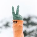 Mons Royale Olympus Merino Glove dew 3