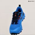 Men's running shoes Saucony Peregrine 14 cobalt/black 11