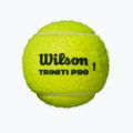 Tennis balls Wilson Triniti Pro 3 pcs. yellow 2