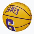 Wilson NBA Player Icon Mini Lebron basketball WZ4007201XB3 size 3 4