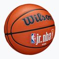 Children's basketball Wilson NBA JR Fam Logo Authentic Outdoor brown size 5 2