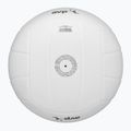 Beach volleyball Wilson AVP Soft Play white size 5 6