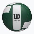 Volleyball Wilson Helix Game Ball green/white size 5