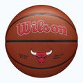 Basketball Wilson NBA Team Alliance Chicago Bulls brown size 7