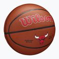 Basketball Wilson NBA Team Alliance Chicago Bulls brown size 7 2