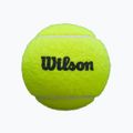 Padel balls Wilson Premier Padel 3 pcs. yellow 5
