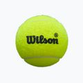 Padel balls Wilson Premier Padel Speed 3B 3 pcs. yellow 2