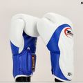 Boxing gloves Twins Special BGVL6 white/blue 6