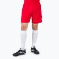 Men's Joma Treviso training shorts red 100822.600