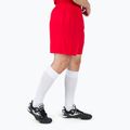 Men's Joma Treviso training shorts red 100822.600 2