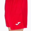 Men's Joma Treviso training shorts red 100822.600 4
