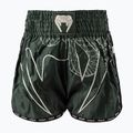 Men's training shorts Venum Serpenti Muay Thai khaki/bronze/ivory