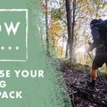 Salomon XT 10 l hiking backpack white and black LC1764400 8
