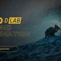 DUOTONE kitesurfing kite Neo D/Lab 2023 grey 44230-3024 6