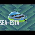 JOBE Sea-esta Towable 3P blue 230320010 towable float 12
