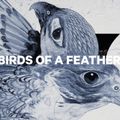 Women's snowboard CAPiTA Birds Of A Feather 1221108 5