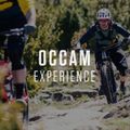 Orbea Occam H10 2023 dark green/lime green mountain bike 3