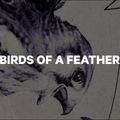 Women's snowboard CAPiTA Birds Of A Feather white 1211119 13
