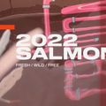 Slingshot Salmon pink wakeboard 9