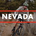 Fuji Nevada 29 1.3 satin silver mountain bike 5