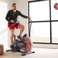 Schwinn Airdyne Ad2I air bike 100430 5