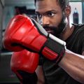 Hayabusa T3 red/black boxing gloves T310G 12
