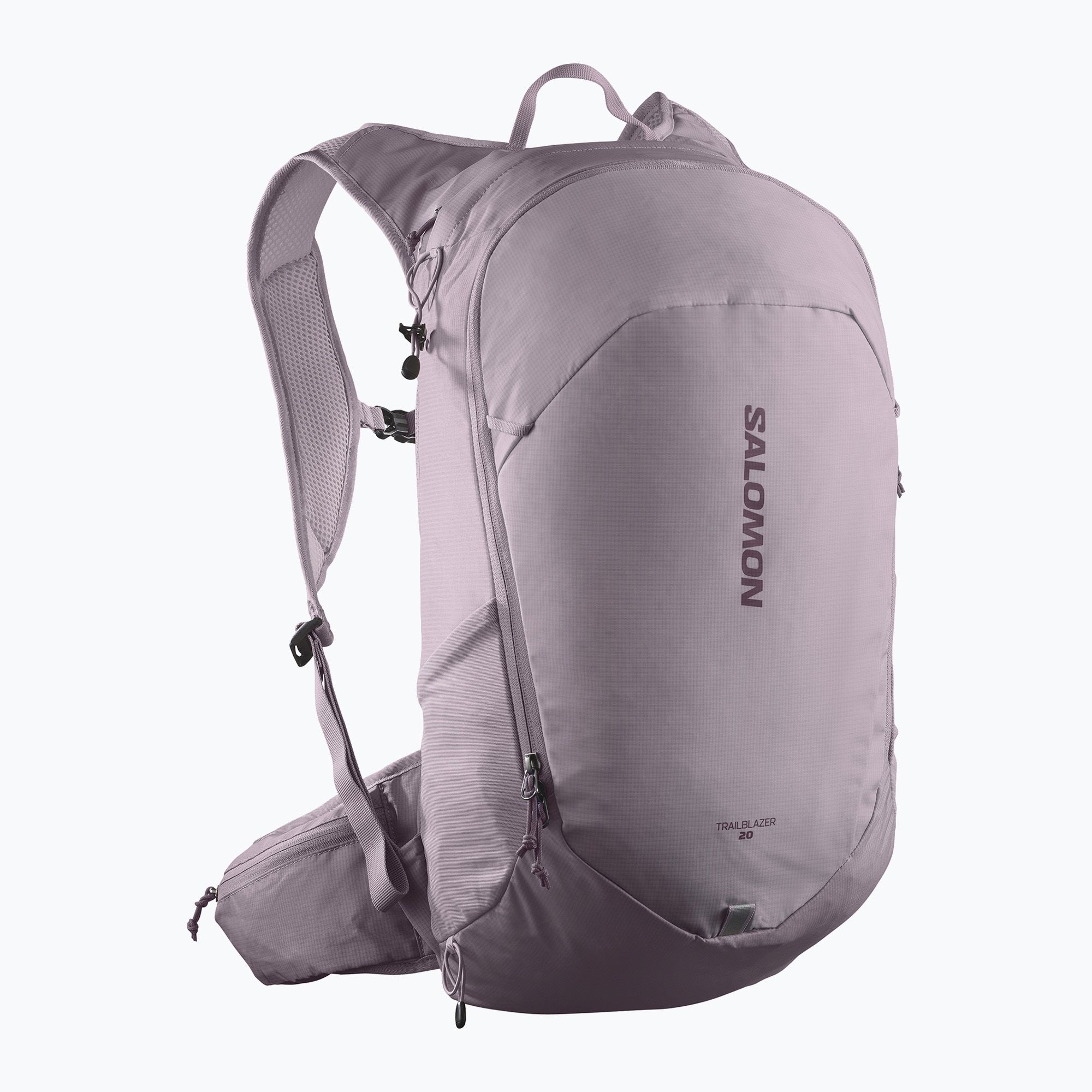 バッグ SALOMON TRAILBLAZER 20 Nirvana Hiking backpack Salomon Trailblazer 20 l nirvana / plum perfect