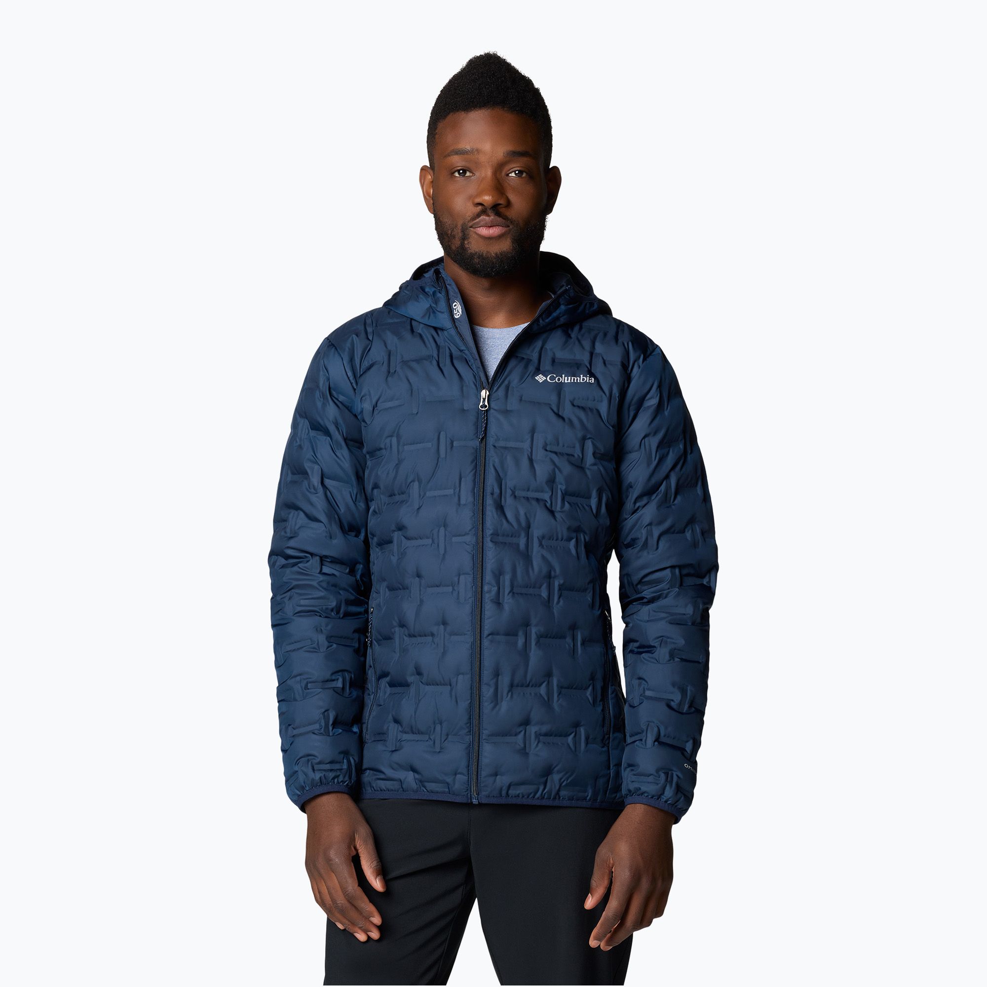 Men's down jacket Columbia Delta Ridge II Down Hooded collegiate