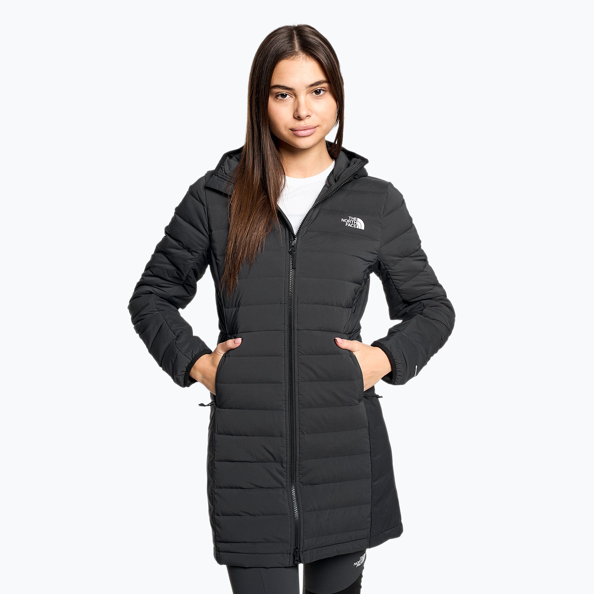 The North Face Stretch Down Parka North Face Men's Stretch 