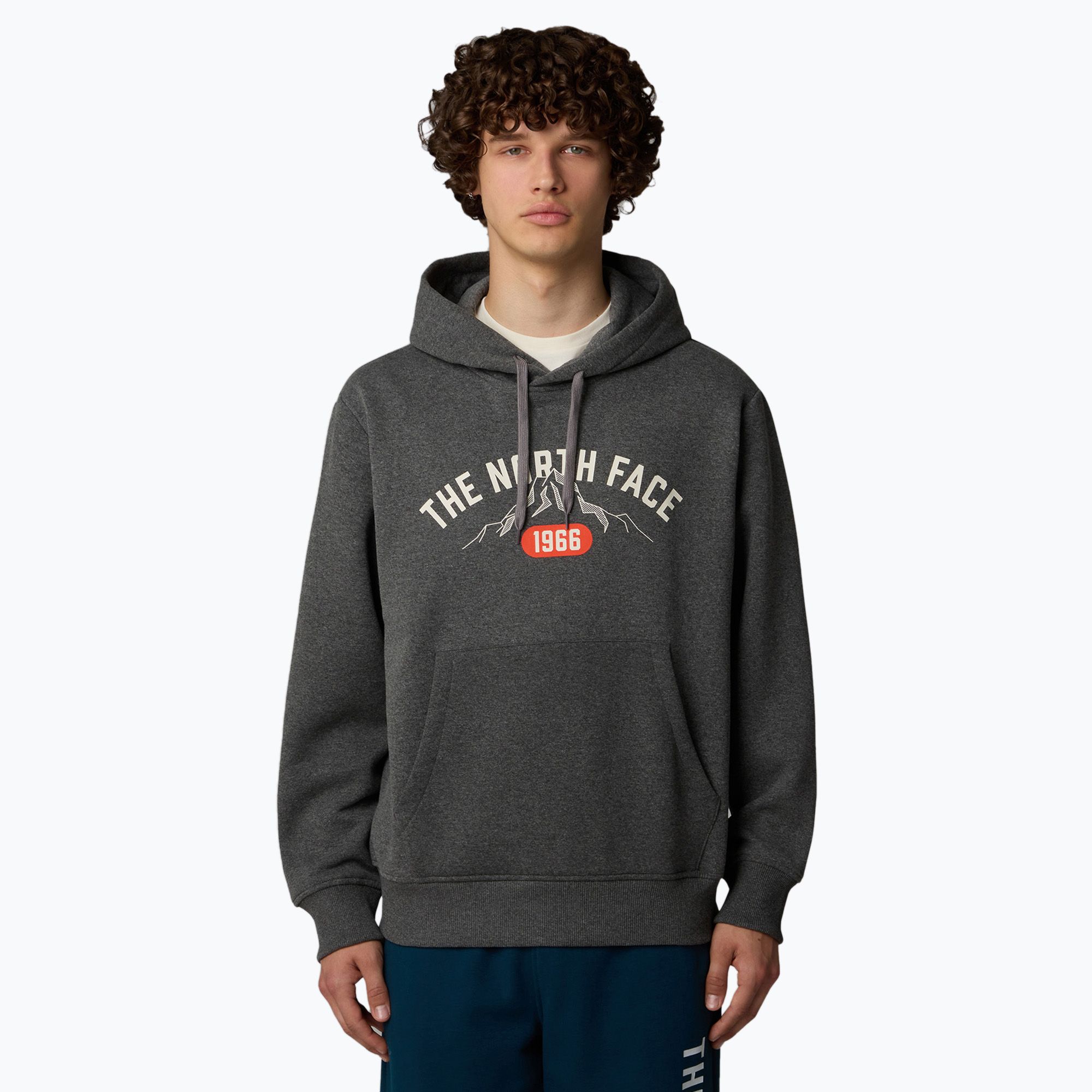 Men's The North Face Varsity Graphic medium grey heather t-shirt (L)