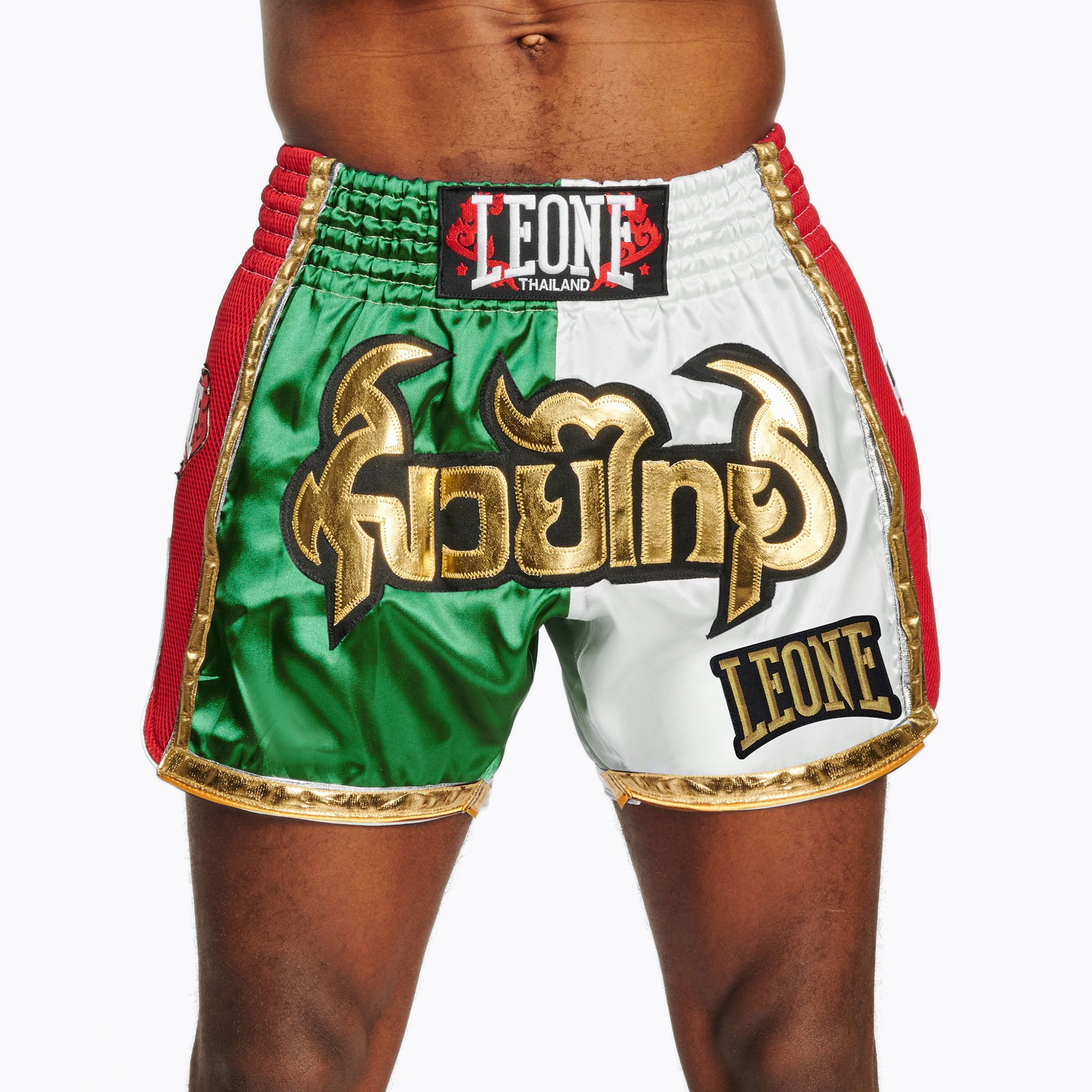 Men's training shorts LEONE 1947 Siam Thai green/white (XL)
