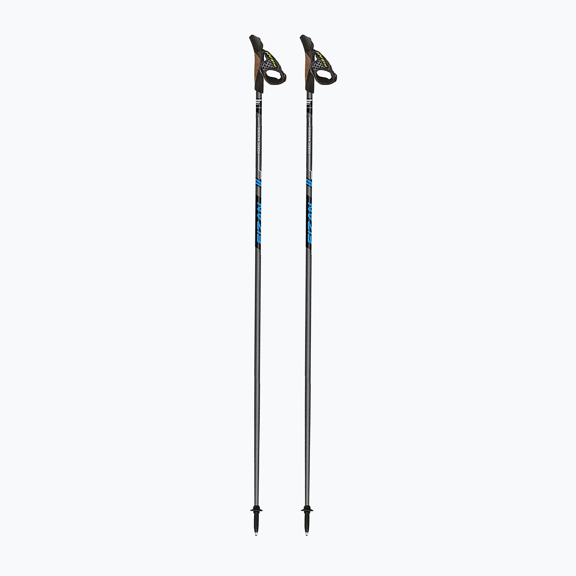 Nordic walking poles Fizan Runner blue (110 cm)